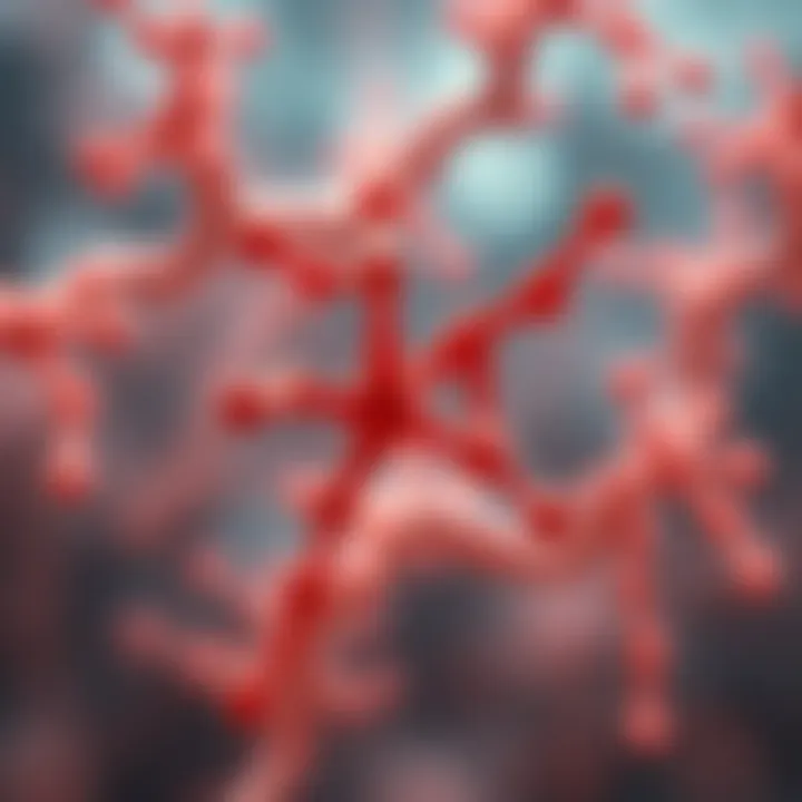 Diagram showing the collagen molecule structure