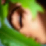 Stylish eyebrow styles for sparse looks