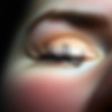 Care Tips for False Eyelashes Close-up of well-maintained false eyelashes