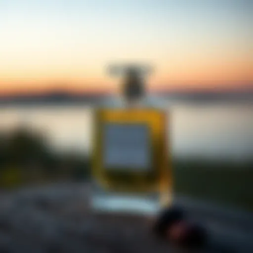 The Allure of Tonka Bean in Fragrance Aromatic essence of tonka bean