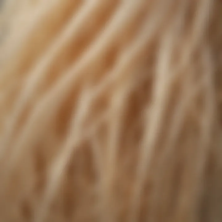 Close-up of hair strands showcasing the sheen from petroleum jelly