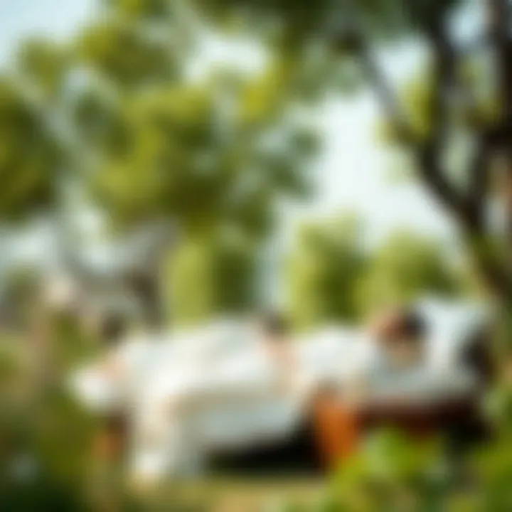 Relaxation and Body Wellness Outdoors A peaceful outdoor setting promoting relaxation and body wellness.